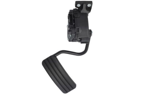 Gaspedaal past: RENAULT ESPACE IV 1.9D-3.5 11.02-12.15