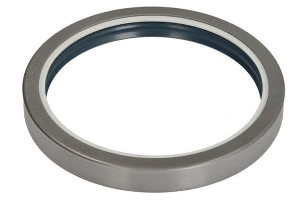 Shaft Seal, wheel hub