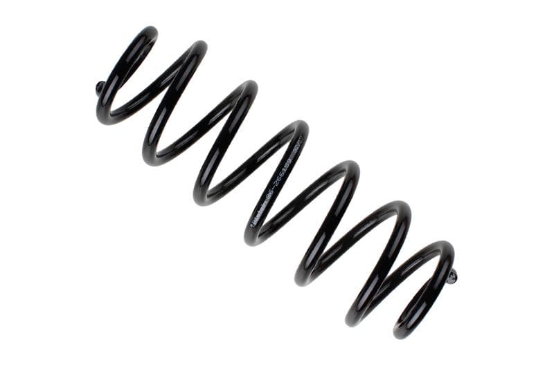 Coil spring