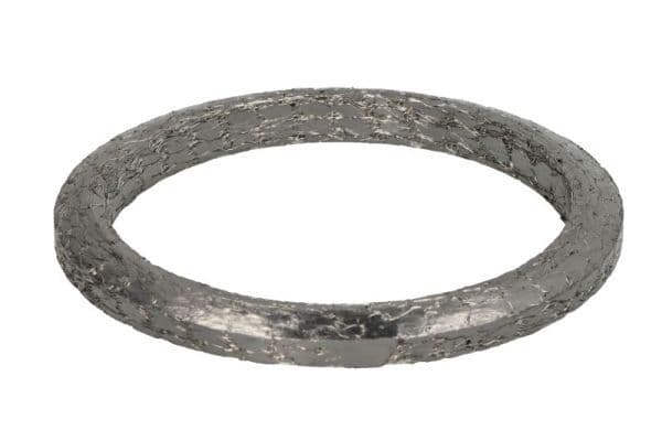 Uitlaatsysteem pakking/afdichting past: MERCEDES EURO 6