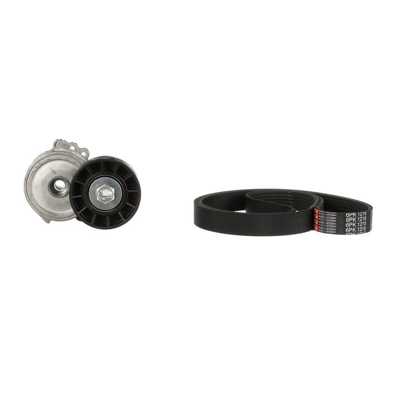 V-snaren set (met rollen) past: VOLVO C30, C70 II, S40 II, V50  CITROEN C4, C4 GRAND PICASSO I, C4 I, C4 PICASSO I, C5 II, C5 III, C8, JUMPY II  FIAT SCUDO, ULYSSE  FORD C-MAX 1.6D/1.8D/2.0D 07.02-