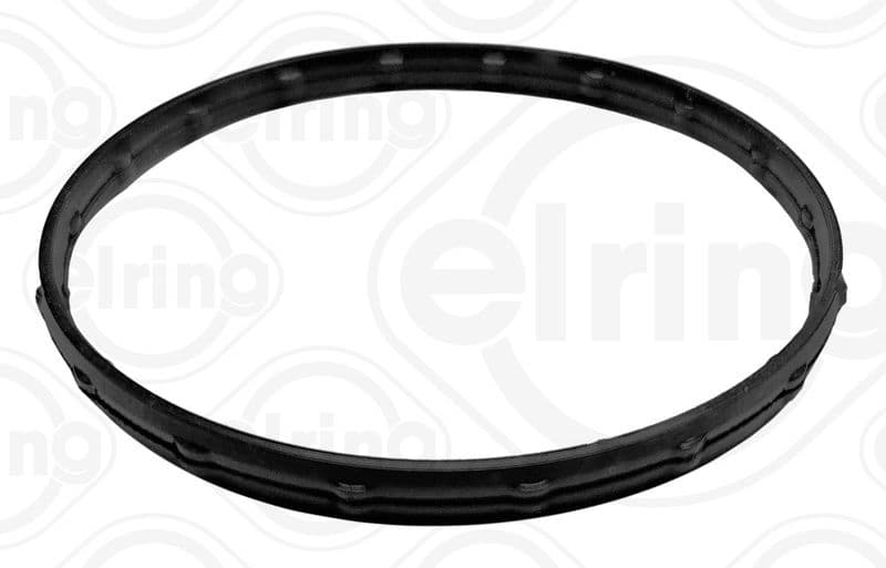 Thermostat gasket