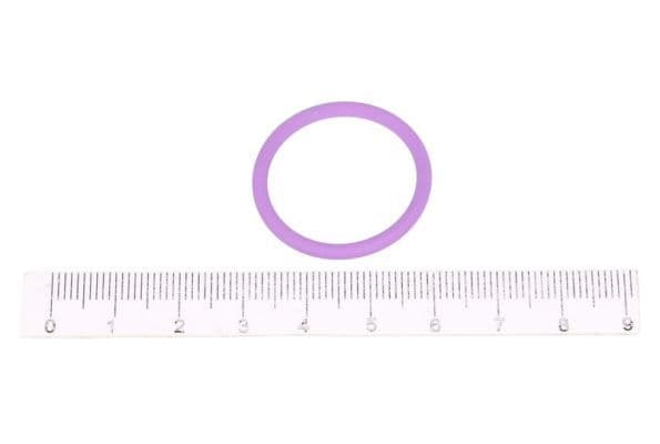 O-ring (BEBJ1A00001  BEBJ1A00101  BEBJ1A00201  BEBJ1A00202  BEBJ1A05001  BEBJ1A05002  BEBJ1B00001 prijs per 1pcs, Delphi injector pomp spoelen)
