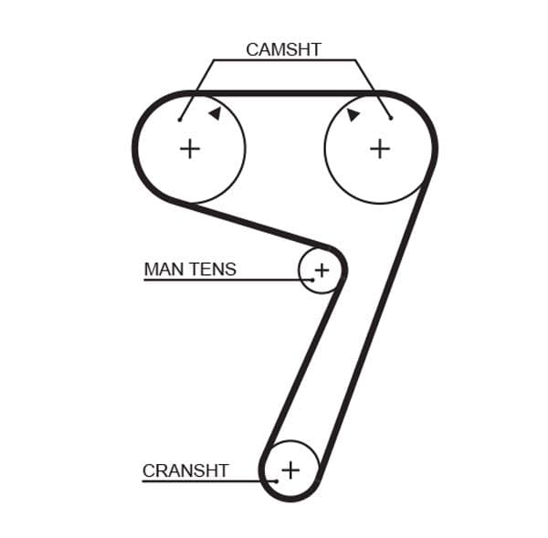 Timing belt