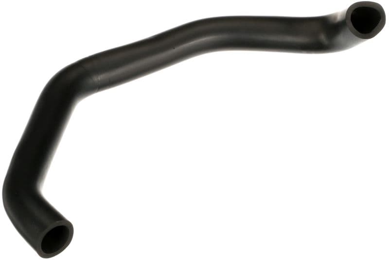 Hose, cylinder head cover ventilation