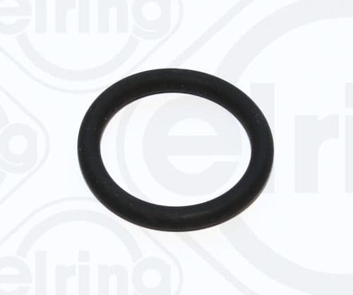 Seal Ring, oil line