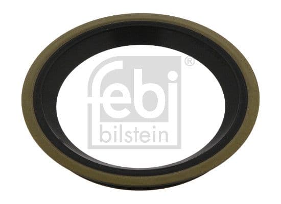 Seal Ring, steering knuckle