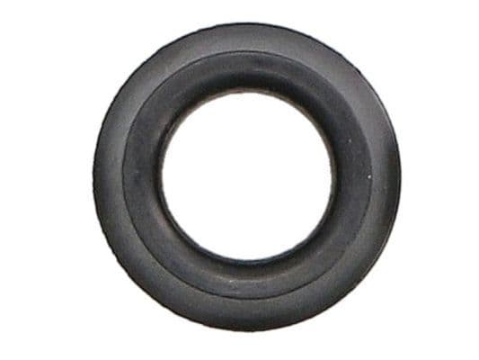 Gasket, crankcase ventilation