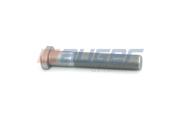 Wheel bolt