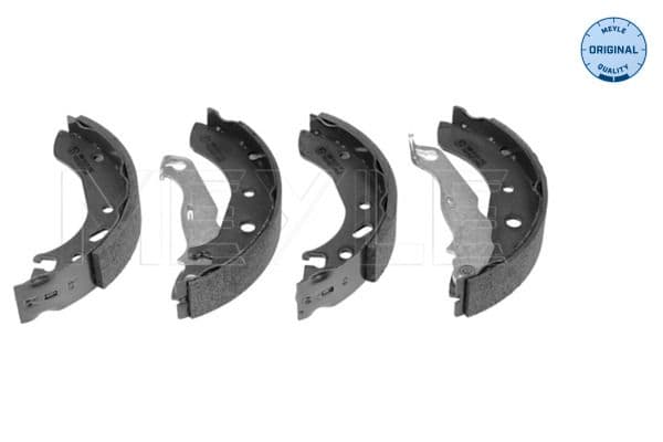 Brake shoe set