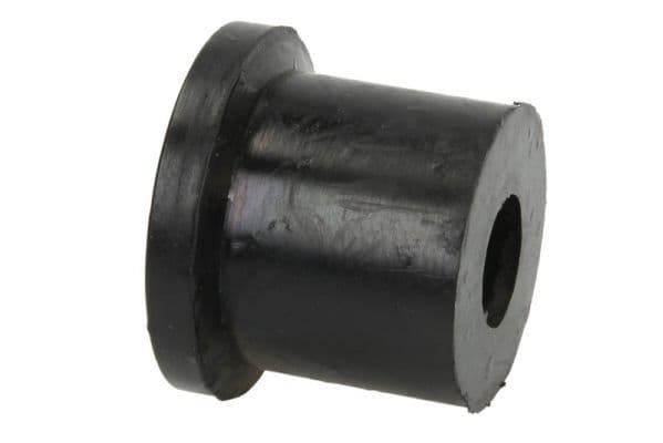 Bush, spring shackle