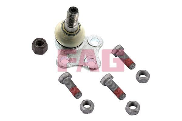 Kogelgewricht van de as Links/Rechts (bodem voor) (diameter kegel 18mm) past: NISSAN PRIMASTAR  OPEL VIVARO A  RENAULT TRAFIC II 1.9D-2.5D 02.01-