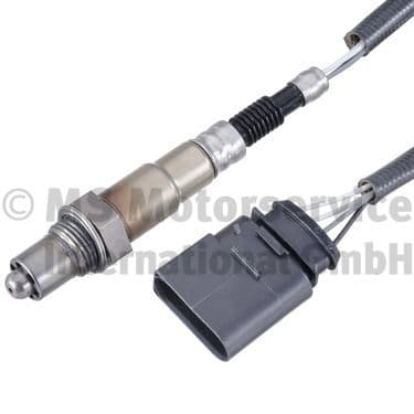 Oxygen Sensor
