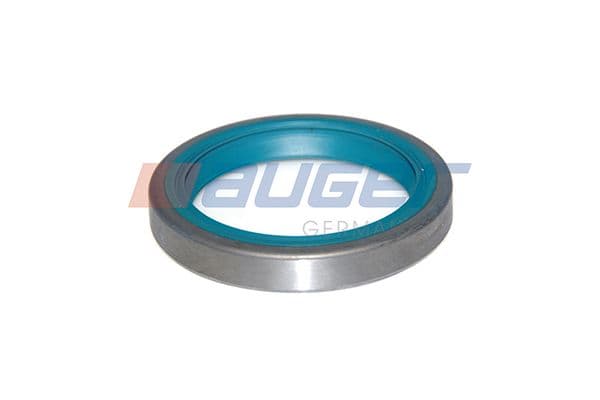 Shaft Seal, wheel hub
