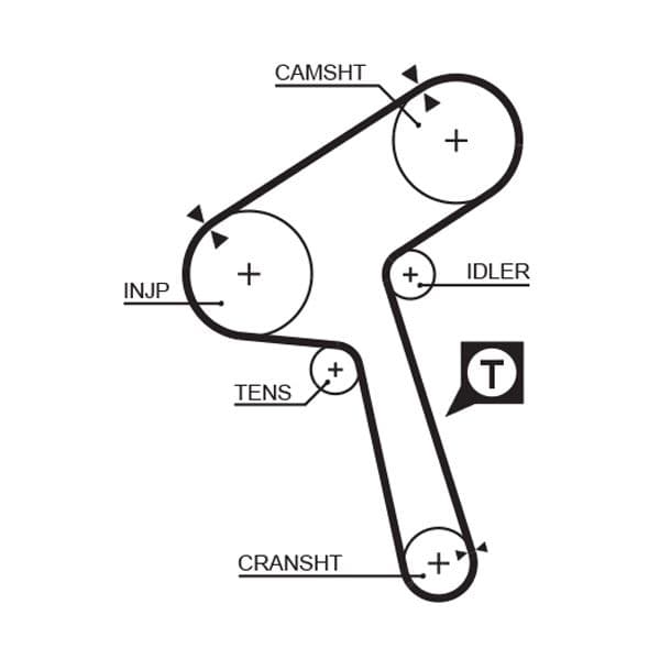 Timing belt