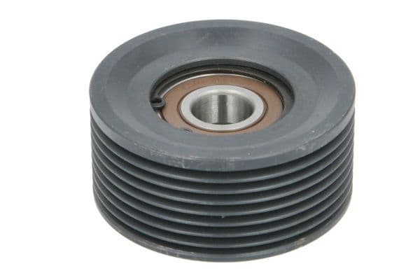 Meervoudige V-snaar spanrol /73x34mm past: DAF FA 220, FA 230, FA 250, FA 260, FA 280, FA 290, FA 310, FA 320, FAN 280, FAN 290, FAN 310, FAN 320, FAR 280, FAR 290, FAR 310, FAR 320, FAS 290