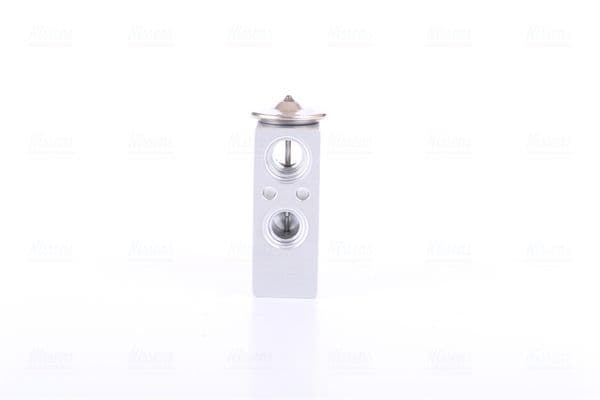 Airconditioning ventiel past: CITROEN C2, C3 I, C3 PLURIEL  FIAT PUNTO  FORD GALAXY II, MONDEO III, S-MAX  PEUGEOT 1007 1.1-3.0 09.99-