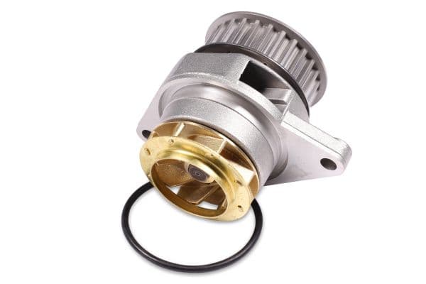 Waterpomp, met pakking past: AUDI A2  SEAT LEON, TOLEDO II  VW BORA, BORA I, GOLF IV, LUPO I, POLO, POLO III 1.6 09.98-06.06