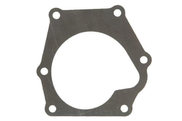 Water pump gasket