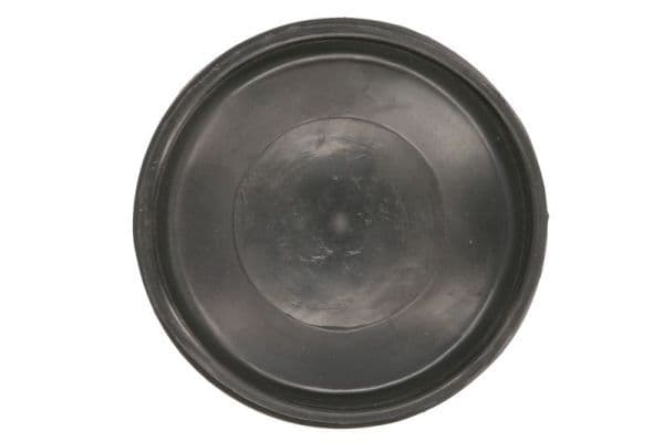 Headlamp elements Links/Rechts (afdekking achterlicht 87mm) past: DAF CF 65, CF 75, CF 85, LF 45, LF 55, XF 95 01.01-