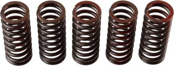 Clutch Spring Set