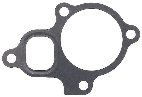 Koelvloeistof thermostaat pakking past: NISSAN ROGUE, X-TRAIL I, X-TRAIL II  RENAULT KOLEOS I, KOLEOS II 2.0/2.5 07.01-