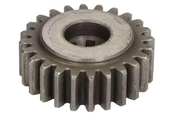Oil pump gear
