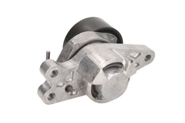 Multi-V riemspanner past: CITROEN BERLINGO, BERLINGO MULTISPACE, XSARA, XSARA PICASSO  FIAT FIORINO  PEUGEOT 206, PARTNER, PARTNER ORIGIN, PARTNER TEPEE 1.1-1.6 06.96-