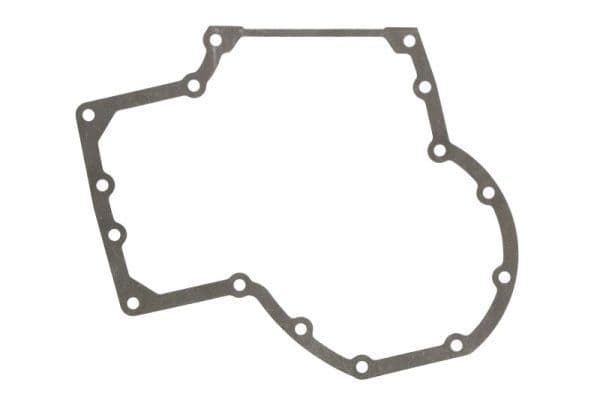 Gasket, timing case cover