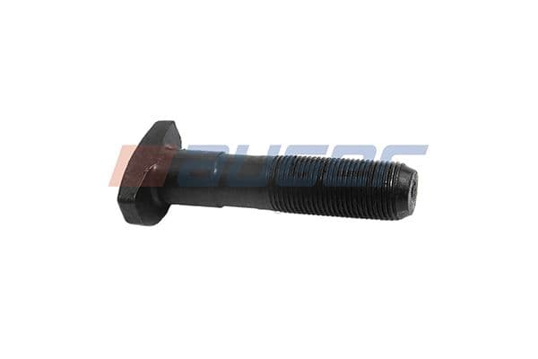 Wheel bolt