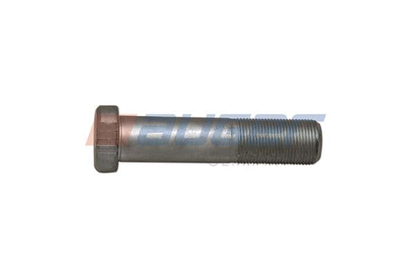 Wheel bolt