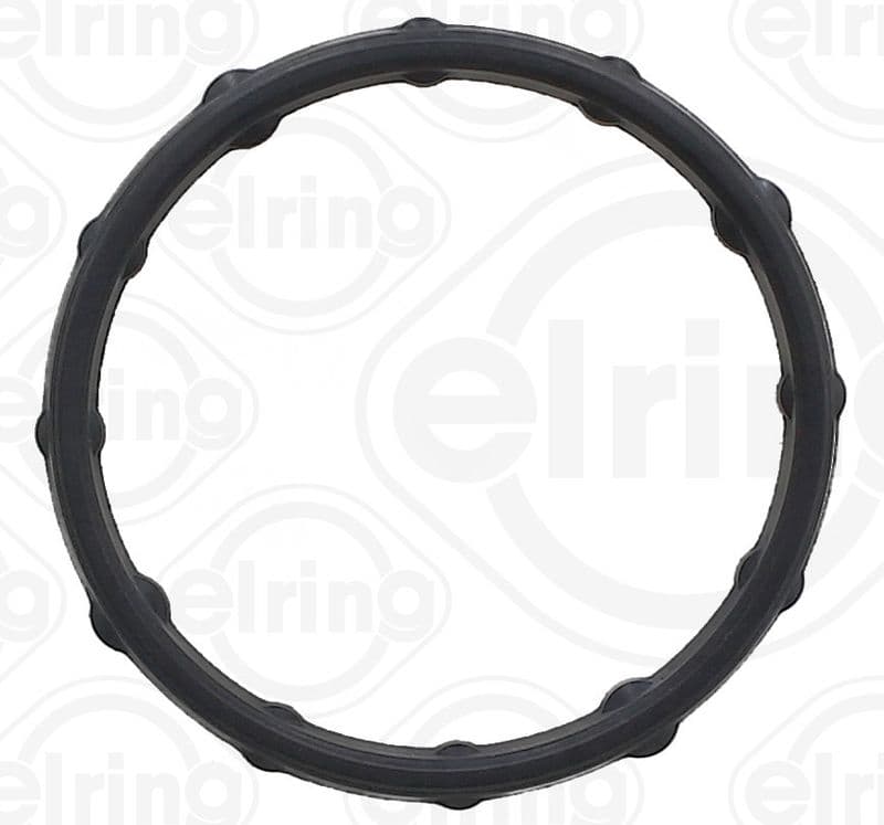 Gasket, oil cooler