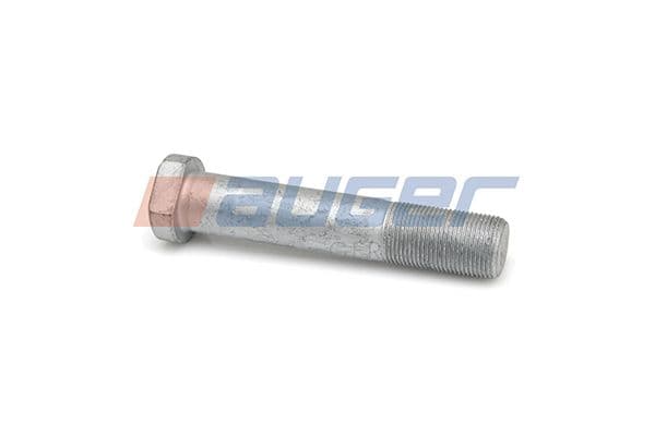 Wheel bolt