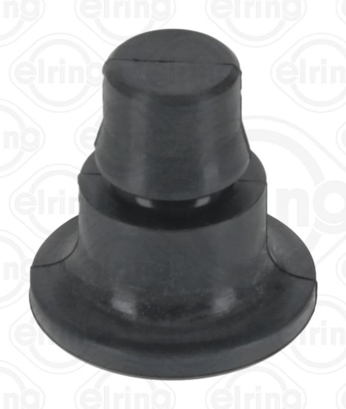 Water pump gasket