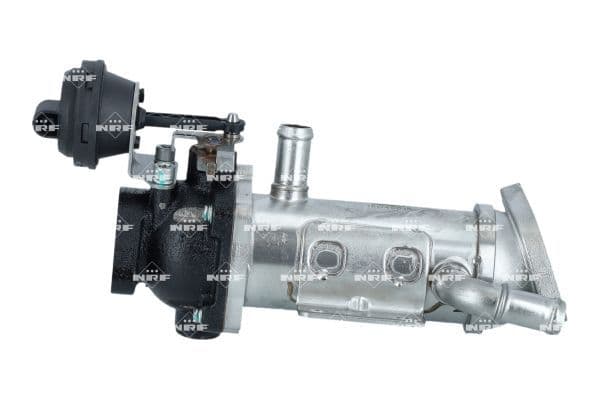 Uitlaatgassen radiator past: RENAULT ESPACE IV, GRAND SCENIC II, LAGUNA, LAGUNA II, LAGUNA III, MEGANE II, SCENIC II, TRAFIC II, VEL SATIS 2.0D 08.05-