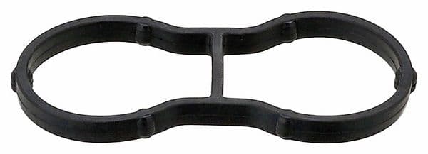 Gasket, oil filter housing