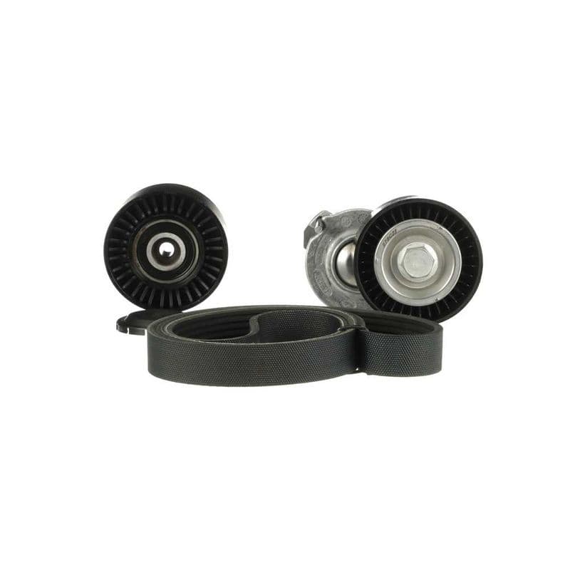 Multi-V-riemset met spanner past: VW AMAROK, CALIFORNIA T5 CAMPER, CALIFORNIA T6 CAMPER, MULTIVAN T5, MULTIVAN T6, TRANSPORTER T5, TRANSPORTER T6, TRANSPORTER T6 / CARAVELLE T6 2.0D 09.09-