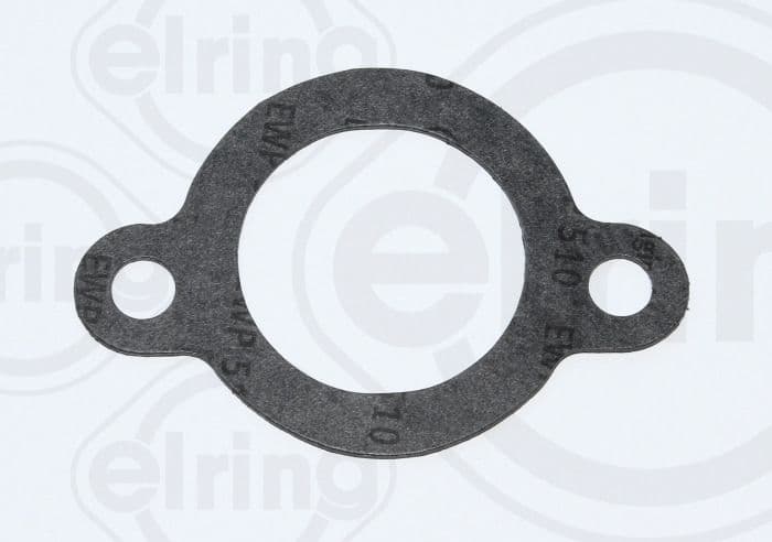 Gasket, coolant flange