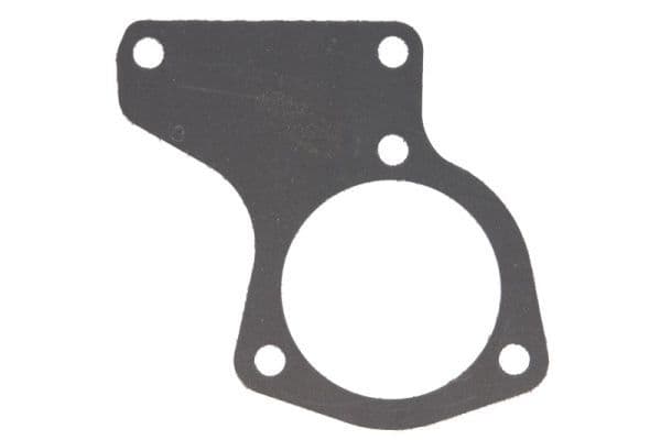 Thermostat gasket