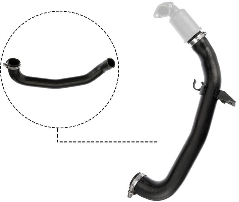 Radiator Hose
