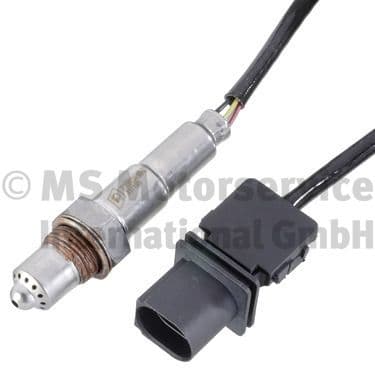 Oxygen Sensor
