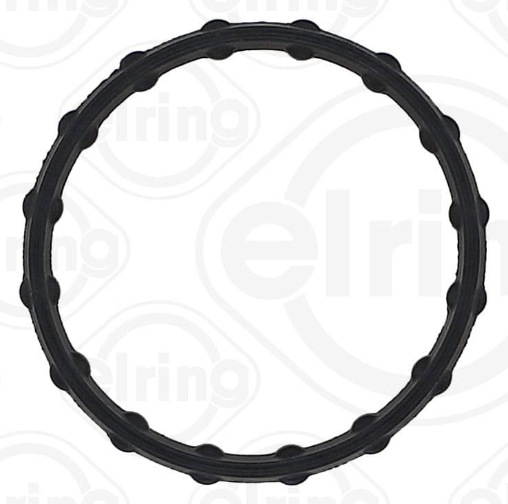 Gasket, thermostat housing