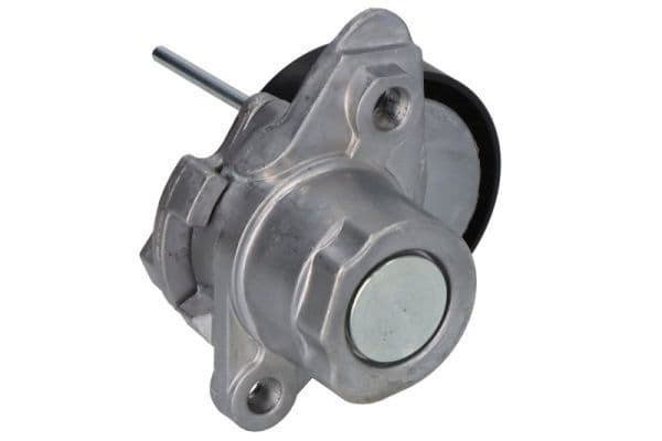 Multi-V riemspanner past: AUDI A1, A1 CITY CARVER, A3, A4 B9, A5, Q2, Q3  CUPRA ATECA, LEON, LEON SPORTSTOURER  FORD FOCUS IV, TOURNEO CONNECT V761 NADWOZIE WIELKO  SEAT ALHAMBRA 1.0-1.6 04.12-