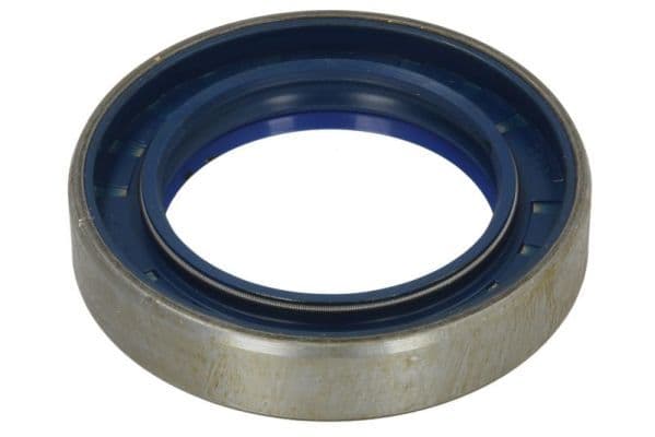 Gasket, differential