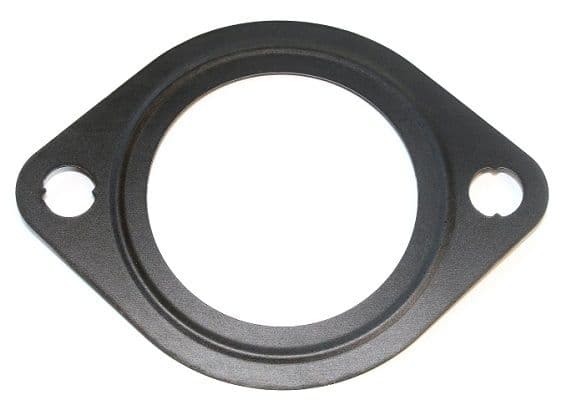 Water pump gasket