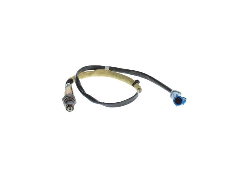 Oxygen Sensor