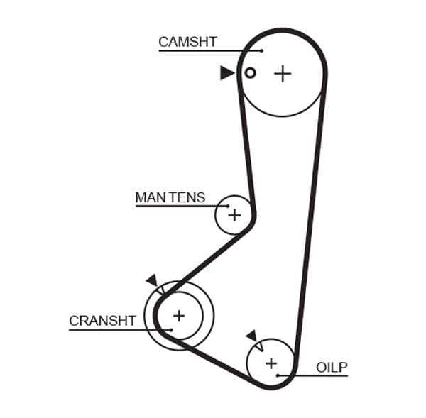 Timing belt