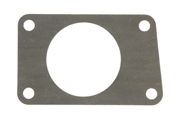 Water pump gasket