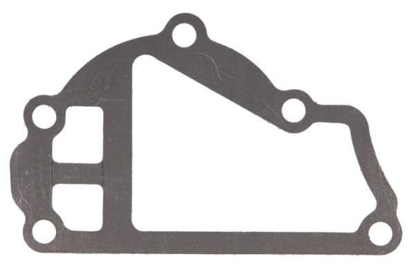 Water pump gasket
