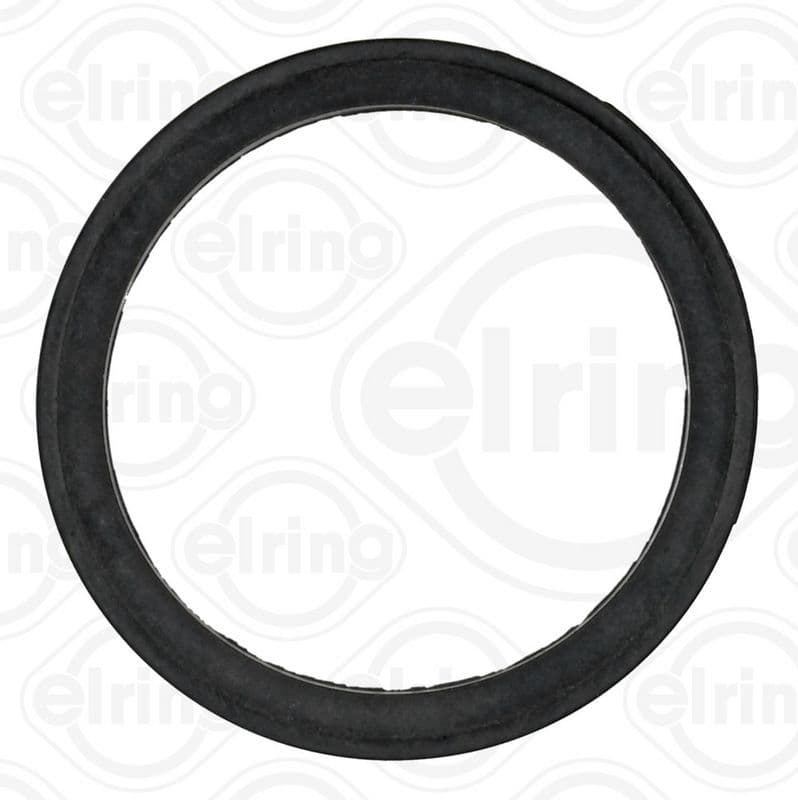 Gasket, timing case
